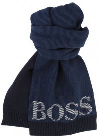 Шарфи та хустки Boss модель J21180/849 Фото