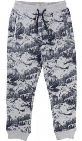 Штаны спортивные Timberland Kids модель T24984/A32 Фото