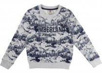 Свитер Timberland Kids модель T25M42/A32 Фото