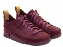 Ботинки со шнуровкой Clarks Trigenic Flex модель 2612-7710 Фото