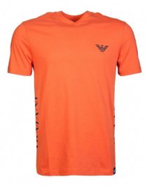 Футболки и поло Armani Jeans модель 6Y6T16-6J00Z-1665 Фото