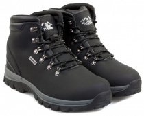 Ботинки Alpine Сrown модель ACFW-170310 Фото