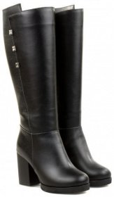 Чоботи та ботфорти ALAMO модель 7-220 Фото