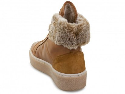 Черевики PIKOLINOS модель W9N-P8556C1_BRANDY — фото - INTERTOP