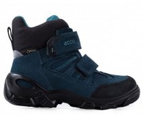 Ботинки ECCO модель 721242(50100) Фото