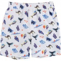 Шорты для плавания Billybandit модель V20071/Z41 Фото