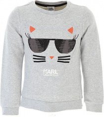 Свитер Karl Lagerfeld Kids модель Z15145/A32 Фото
