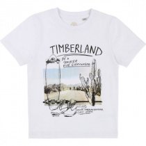 Футболки і поло Timberland Kids модель T25M67/10B Фото