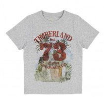 Футболки і поло Timberland Kids модель T25M72/A32 Фото