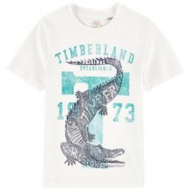 Футболки и поло Timberland Kids модель T25M93/10B Фото