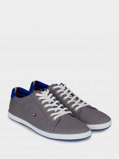 Кеди низькі Tommy Hilfiger модель FM0FM00596-039 - фото
