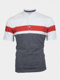 Поло с коротким рукавом Napapijri Erip Stripe модель N0YHD8S19 Фото