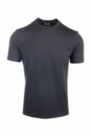 Футболки и поло Emporio Armani модель 3Z1M6D-1JBNZ-F005 Фото