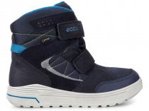 Ботинки ECCO модель 722233(50769) Фото