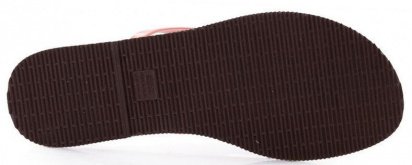 В'єтнамки Havaianas модель 4135102-2014 — фото 4 - INTERTOP