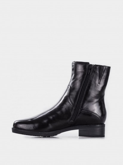Черевики Braska модель 815-8164F/101-030 — фото - INTERTOP