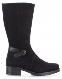 Сапоги Janita модель J48039-08010501-93F41201 Фото