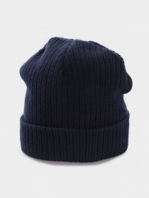 Шапка Braska модель 82-45-309 Фото