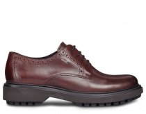 Полуботинки Geox модель D84AYA-00043-C7357 Полуботинки Geox модель D84AYA-00043-C7357 Фото