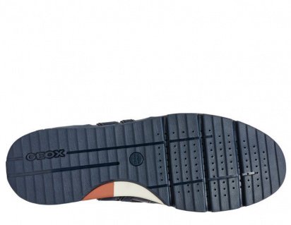 Кросівки Geox модель U84A6A-022ME-C4NF4 — фото - INTERTOP