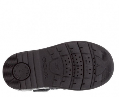 Черевики Geox модель B842EA-00085-C4021 — фото - INTERTOP