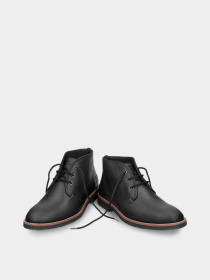 Ботинки Panama Jack Gael C10 модель Gael C10 Фото