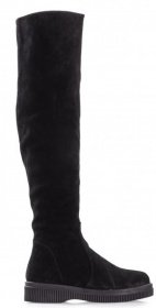 Чоботи Wings модель 111 Фото