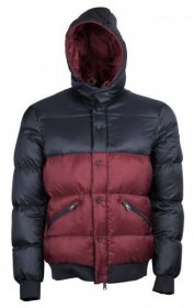 Куртки Emporio Armani модель 6Z1B84-1NUEZ-F910 Фото