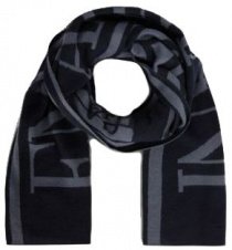 Шарф Emporio Armani модель 6Z1409-1MA1Z-F949 Фото
