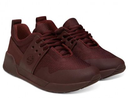 Кросівки Timberland модель A1RHS — фото - INTERTOP