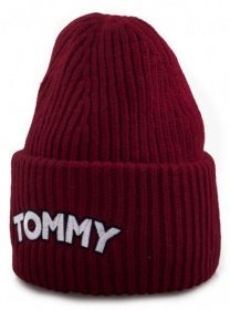 Шапка Tommy Hilfiger модель AW0AW05942-614 Фото