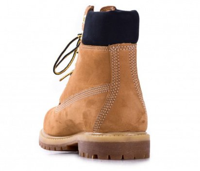 Черевики Timberland модель A1SI1 — фото 3 - INTERTOP