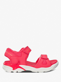 Сандалии ECCO BIOM RAFT модель 700642(00206) Фото