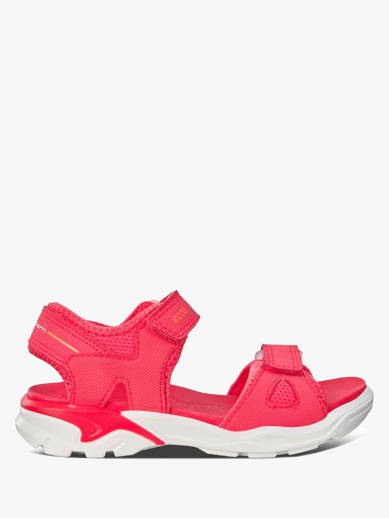 Сандалии ECCO BIOM RAFT модель 700642(00206) Фото