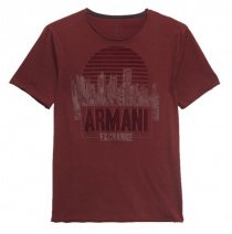 Футболки и поло Armani Exchange модель 6ZZTEQ-ZJH4Z-1434 Фото