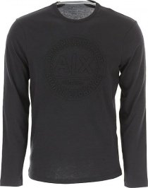 Футболки и поло Armani Exchange модель 6ZZTHE-ZJH4Z-1200 Фото