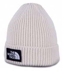 Шапка The North Face модель T93FJX11P Фото