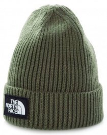 Шапка The North Face модель T93FJX21L Фото