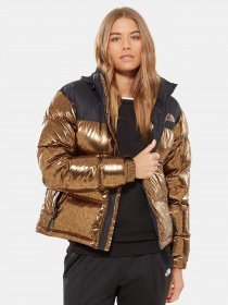 Куртки The North Face модель T93JQR5NW Фото