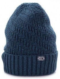 Шапка The North Face модель T93FGIAVM Фото