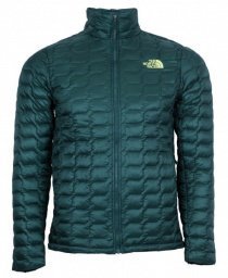 Куртки и дубленки The North Face модель T93RXABCW Куртки и дубленки The North Face модель T93RXABCW Фото