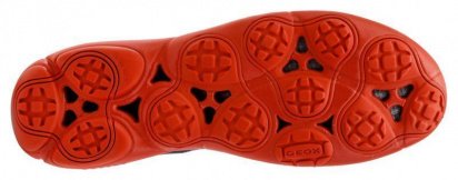 Кроссовки Geox модель U54D7B-01122-C4002 — фото - INTERTOP