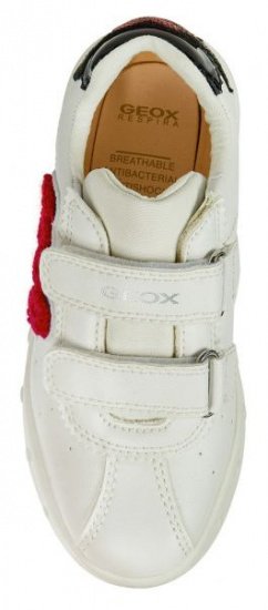 Сироватка для волосся Geox модель J928WC-000BC-C0050 — фото 5 - INTERTOP