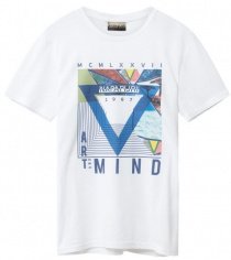 Футболки и поло Napapijri SAYNTE FANTASY модель N0YII4F63 Фото