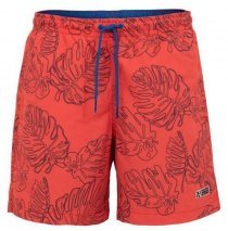 Шорты для плавания Napapijri VAIL 2 FANTASY модель N0YIO8F16 Фото