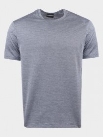 Футболки и поло Emporio Armani модель 3G1T75-1JKVZ-F901 Фото