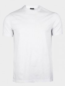 Футболки и поло Emporio Armani модель 3G1TL1-1JTUZ-F132 Фото