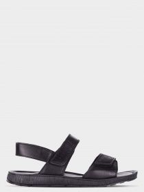Сандалии MOLYER модель 1100-BLACK Фото