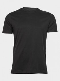 Футболки і поло Emporio Armani модель 3G1TB3-1J30Z-0999 Фото