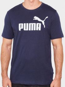 Футболки і поло PUMA Long Oversized Down модель 9Z20 Фото